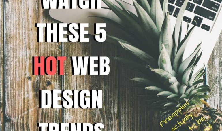 35331984_10100342395853114_5197830062262452224_n